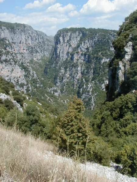 Schlucht von Vikos